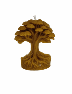 Bloque árbol de la vida